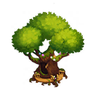 Sweetheart Tree
