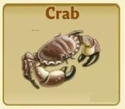 Crab