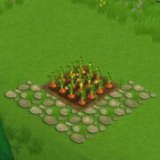 CarrotField