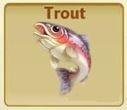 Trout