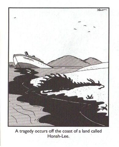 File:Farsideimage.jpg