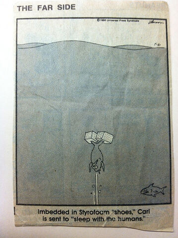 File:An Older Far Side.jpg