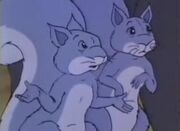 Squirrels