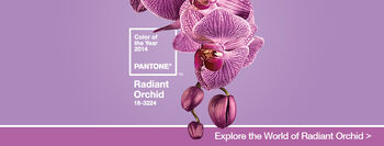20140529 hk homeslider radiantorchid eng