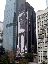 HK Ritz-carltonhotel 20080321