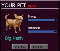 Your Pet