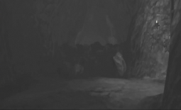 300px-Earth Bridge.png