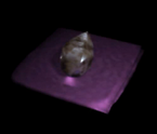 Stone Mirror1
