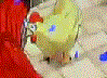 Chicken FP