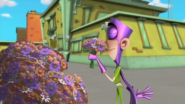 File:Flower present.jpg