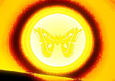 Sunshade Moth