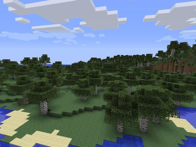 File:Birch Forest.jpg