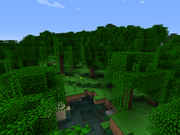 Mini Jungle