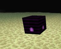 End hive