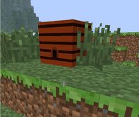 Meadows hive