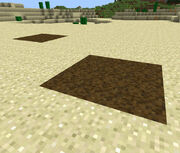 Quicksand