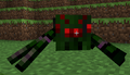Hedge Spider