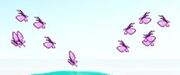Butterfly swarms