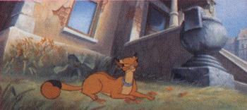 File:Felidae3.jpg