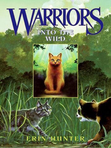 File:Into the Wild.jpg