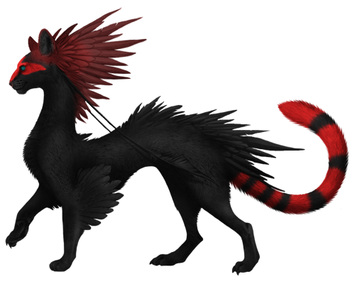 File:XanoRaccoon.png