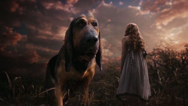 File:AliceInWonderland-2469.jpg