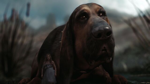 File:AliceInWonderland-2584.jpg