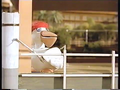 Thumbnail for version as of 01:19, September 5, 2013