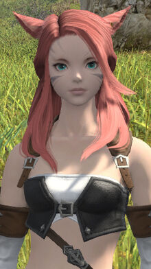 Sora01
