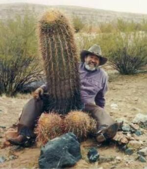 Funny-cactus-man-ZETVJZITVR