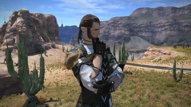File:Elezen 004.jpg