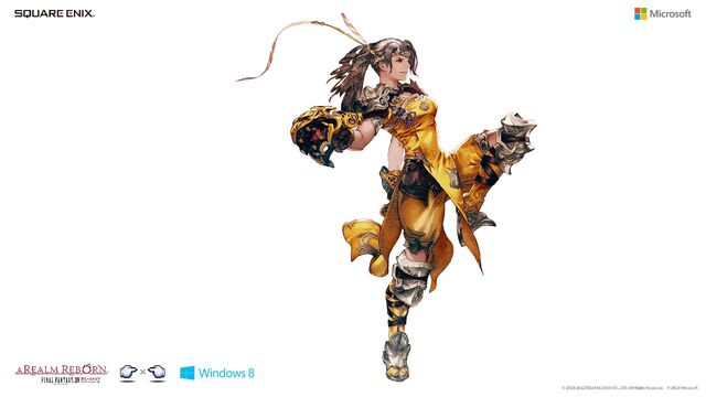 Archivo:Ffxiv monk.jpg