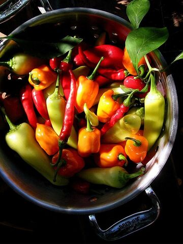 File:ImageItsSoHot!.jpg