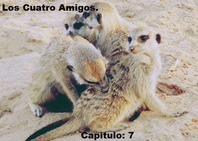Archivo:3434 543506529013949 1580312743 n.jpg