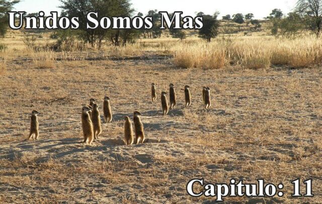 Archivo:246842 399388593458024 1907814432 n.jpg