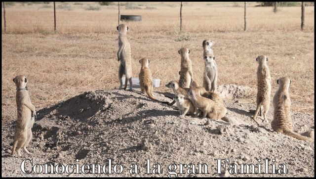 Archivo:La Gran Family.jpg