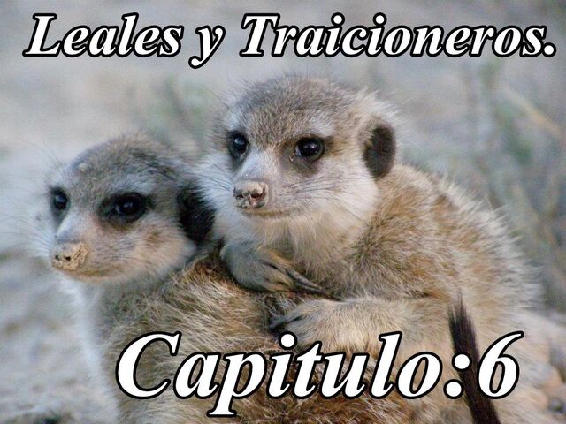 Archivo:399409 385190081544542 170288535 n.jpg