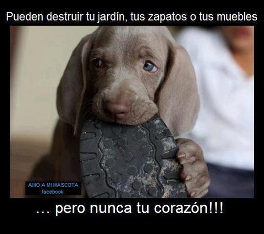 Archivo:417336 368178049930244 160469776 n.jpg