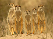 IStock 000001702233XSmall