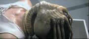 Facehugger