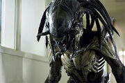 Pred-alien