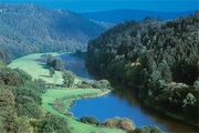 Thelme
