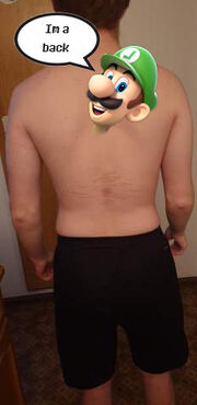 Luigi