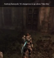 Fable3 Zelda