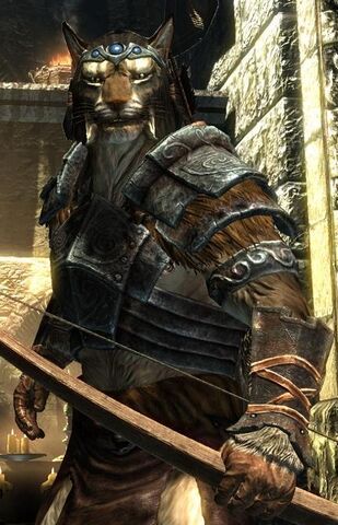 File:Khajit.jpg