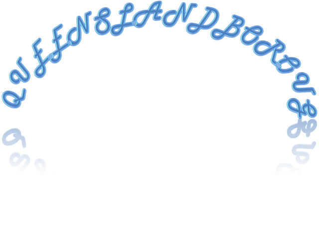 File:Queenslandbourogh logo.png
