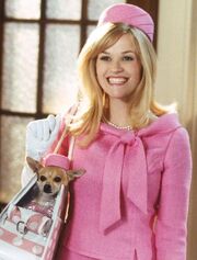 Legally blonde