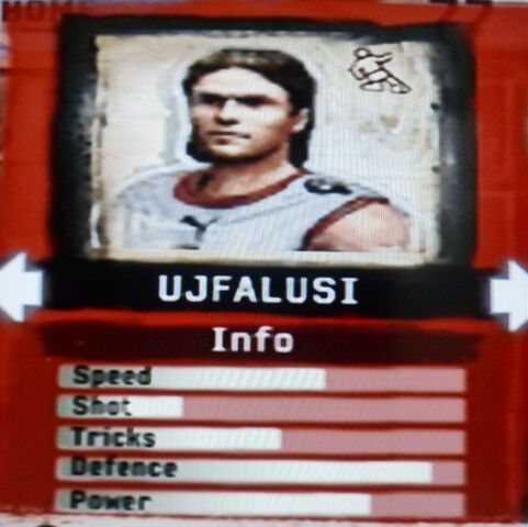 File:FIFA Street 2 Ujfalusi.jpg