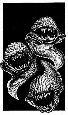 File:Fire Imp larva.jpg