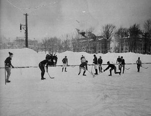McGill hockey match